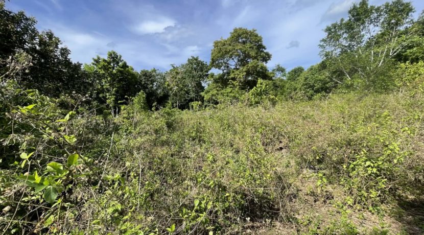 f64b8ded-2726-492a-9218-fcdc7418c5f2