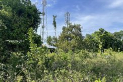 f8a315bf-b525-4065-a69a-b64c31ea279a