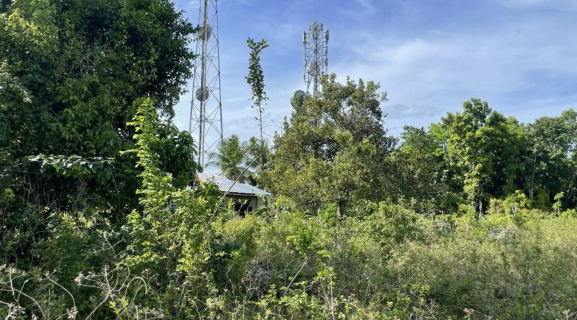 f8a315bf-b525-4065-a69a-b64c31ea279a