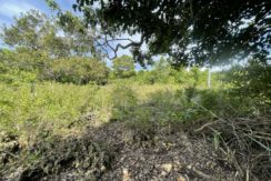 fa0ad9b2-081c-47f1-804b-193db298cb16