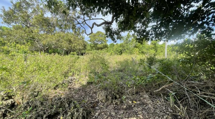 fa0ad9b2-081c-47f1-804b-193db298cb16